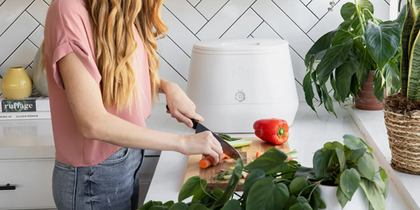 How To Start Composting In Your Kitchen: A Beginner’s Guide