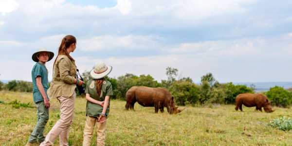 A Guide To The Best Safari Destinations In Africa
